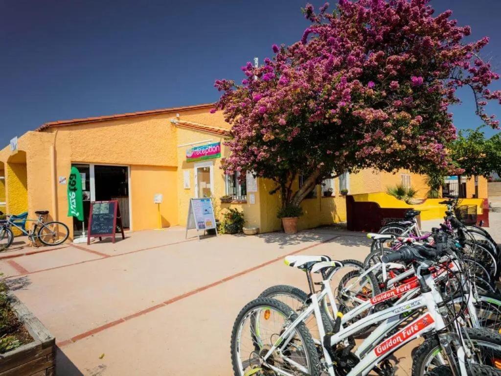 Campsite Le Roussillon - Maeva